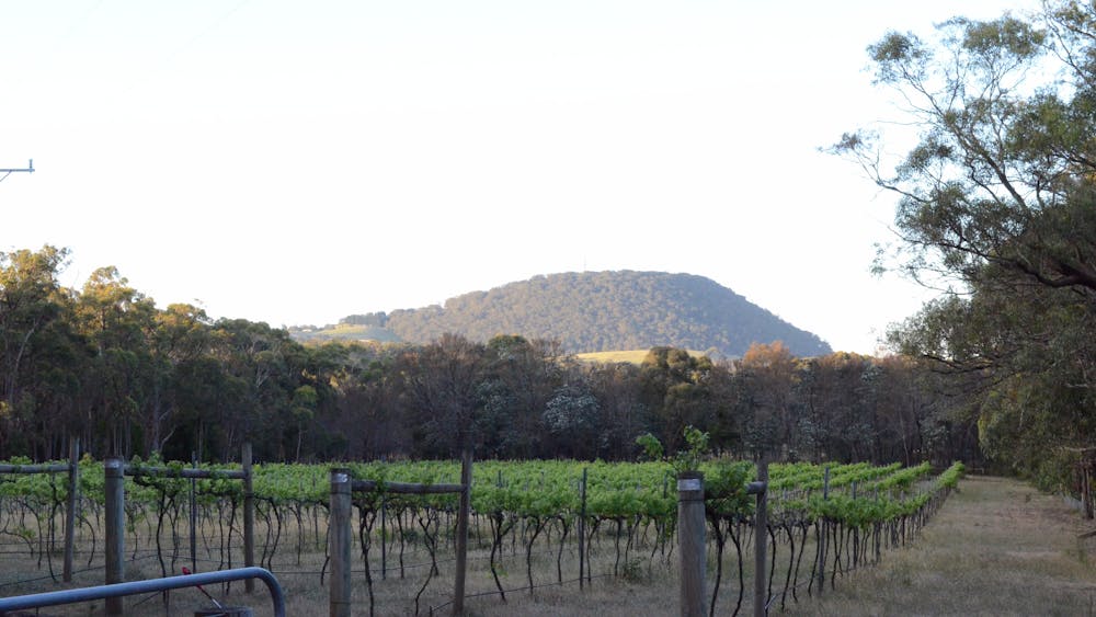 Views to Mt Buninyong