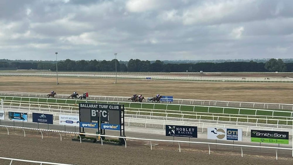 Overlooking some horses go through their paces on the training grass ahead of a potential race start