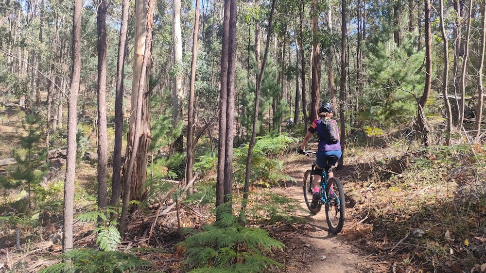 Thumbnail for Mountain Bike Therapy Australia