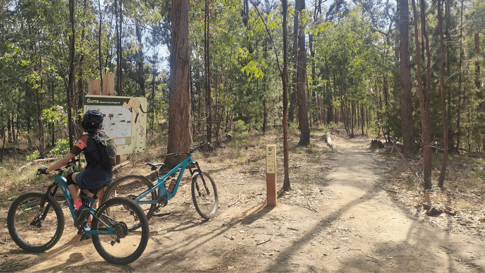 A young girls sits on the mountain bike reading a trail information board with the word "gurri"