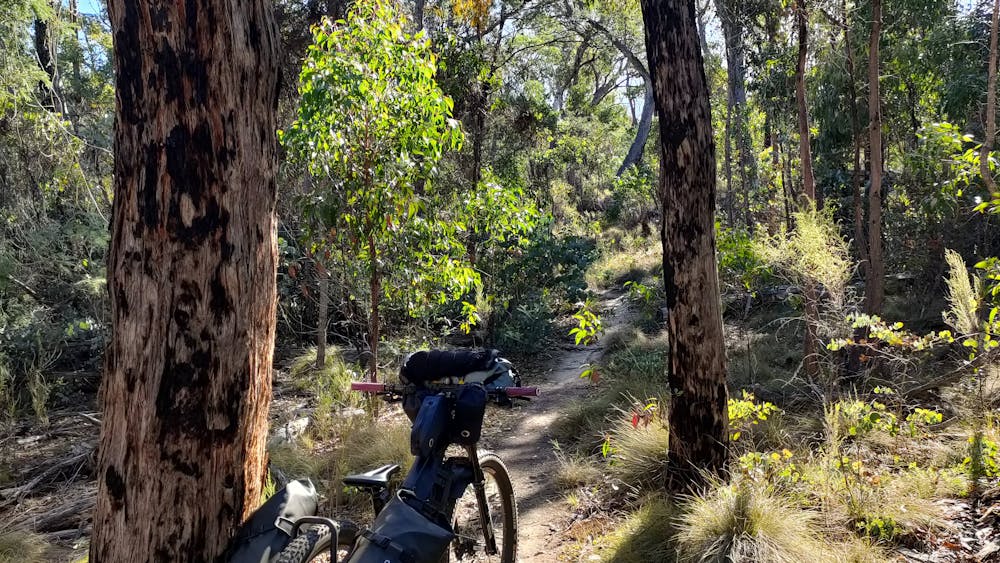 Bike with bike bags attached on a singletrack in the bush