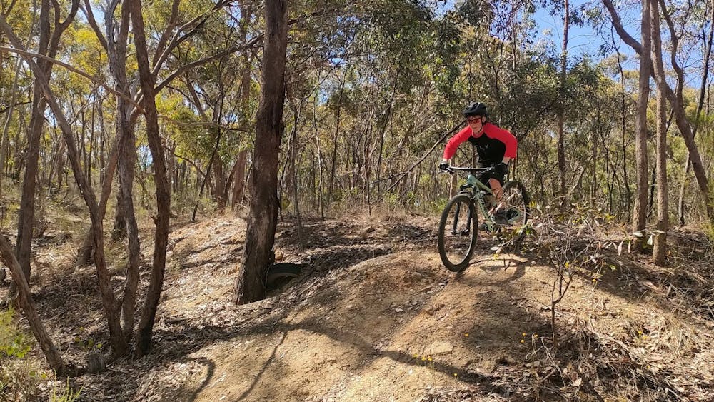 A young person is mountain biking on singletrack