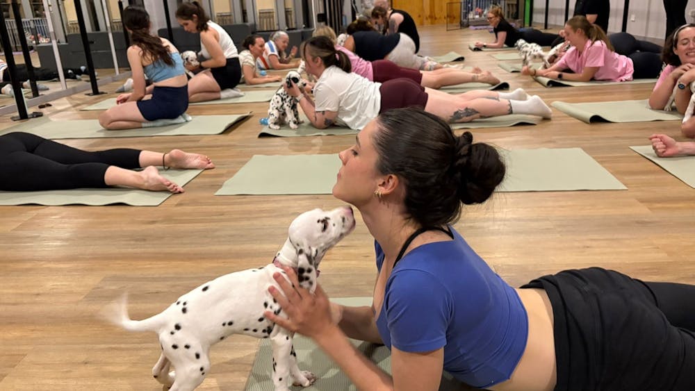 Thumbnail for Ballarat Dalmatian Puppy Yoga Class