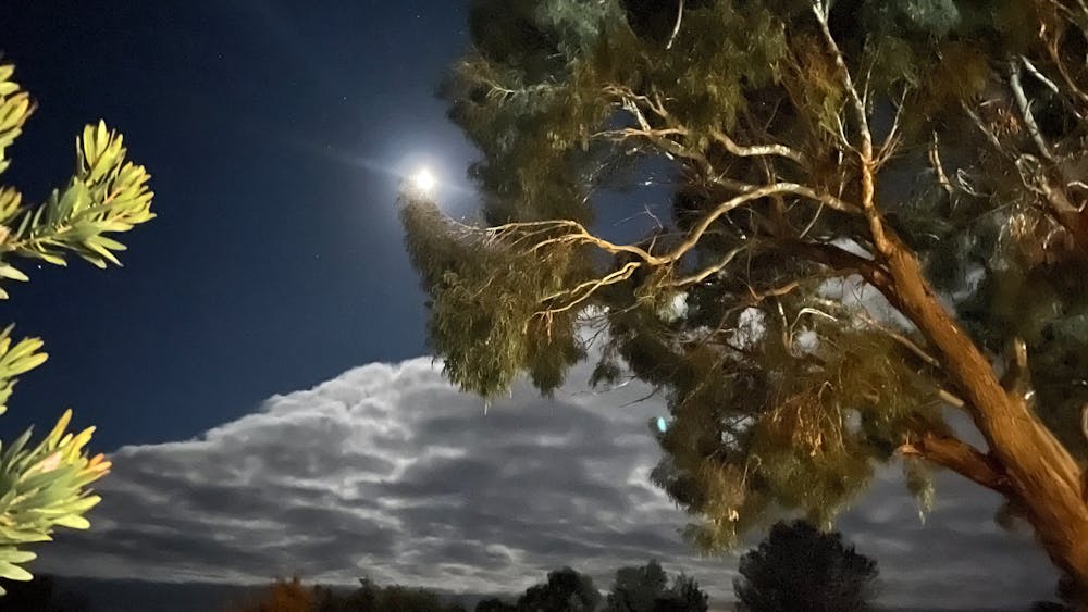 Photo taken at dusk - Image 2