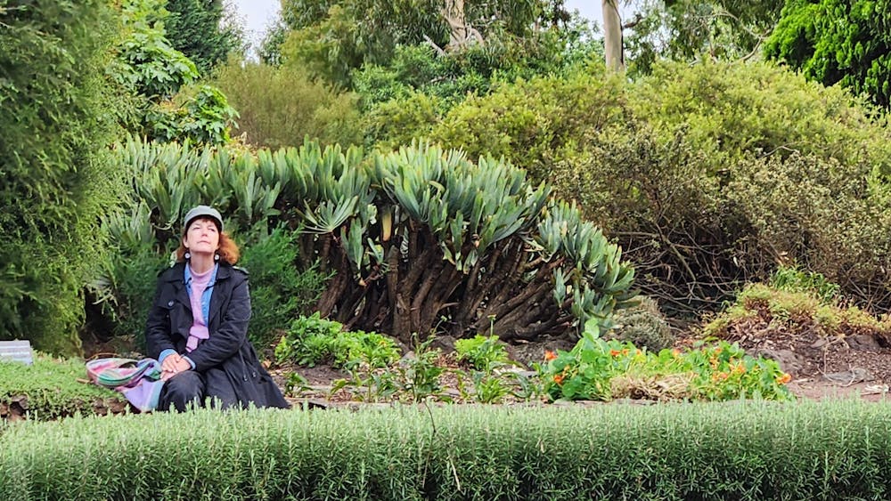 Thumbnail for Nature and Forest Therapy Ballarat Botanical Gardens