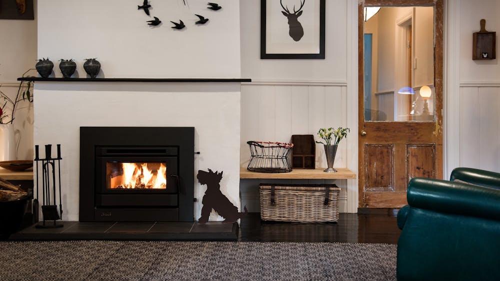 Pet Friendly Accommodation