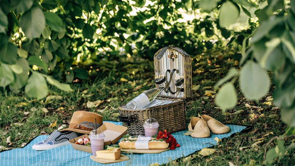 Bluebell Fields Picnic Lunch