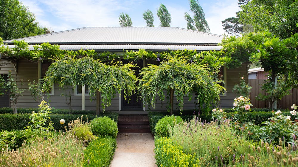 front garden