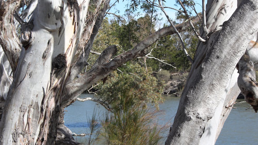 Thumbnail for Outback Victoria