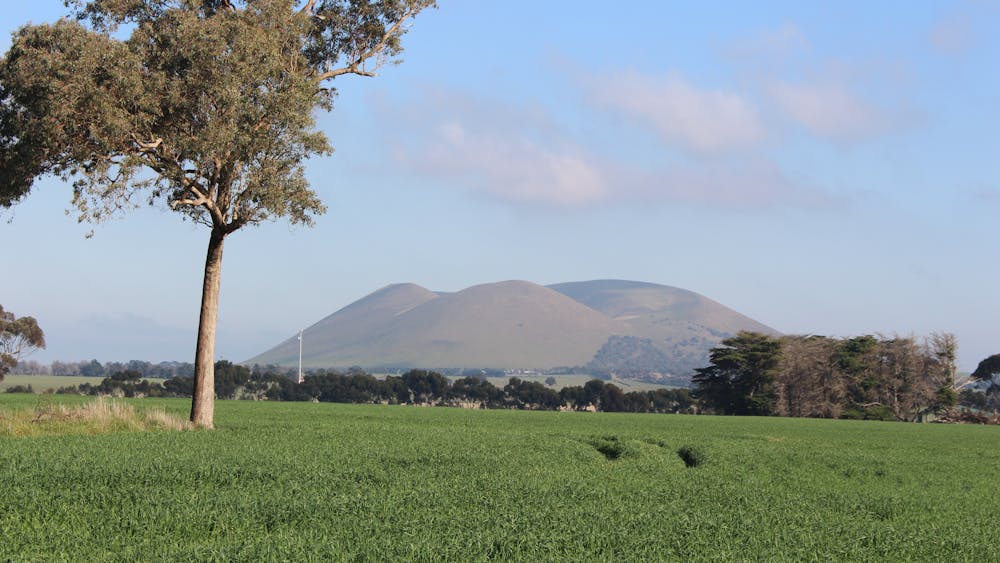 Thumbnail for Victorian Volcanic Plains Tour