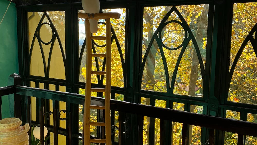 cafe atrium windows
