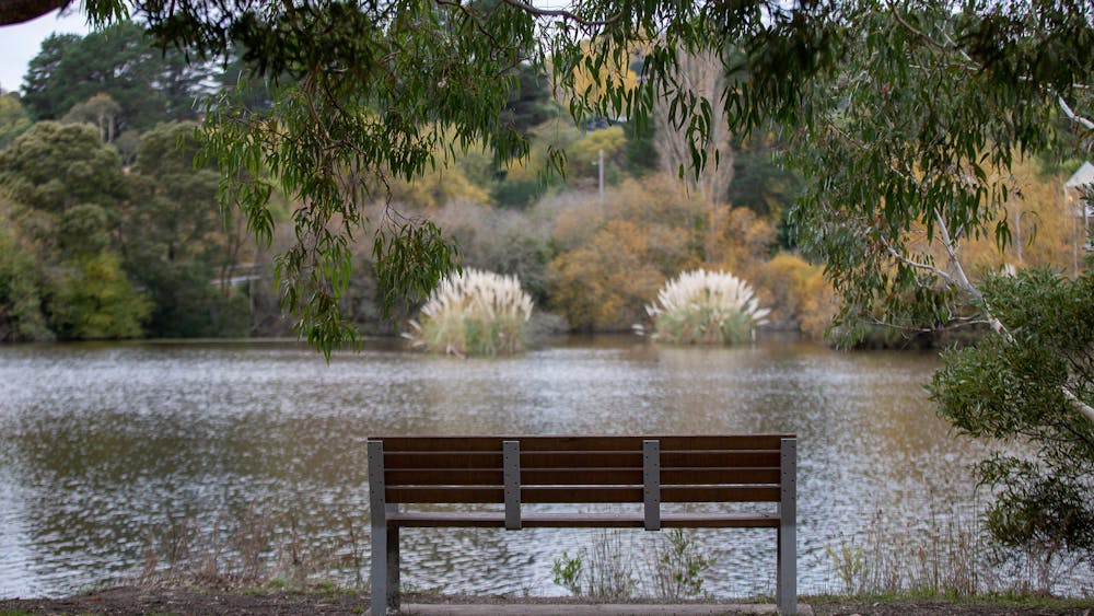 A park chair overlooking a lake and gardens