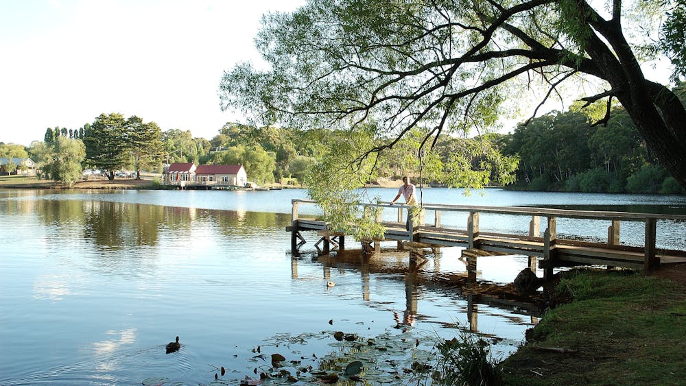 Thumbnail for Peace Mile Loop Walk, Lake Daylesford