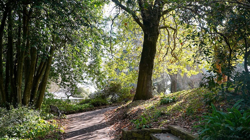 Thumbnail for Wombat Hill Botanic Gardens