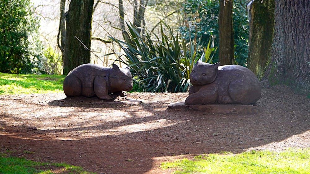 Wombats at the Gardens