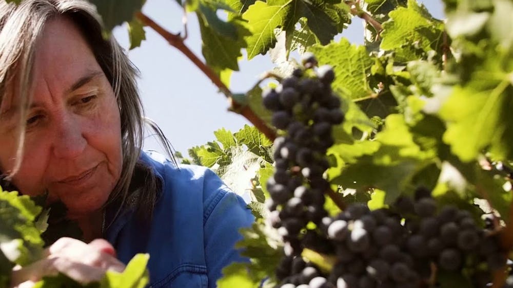 Thumbnail for Long Lunch with Jane Ferrari