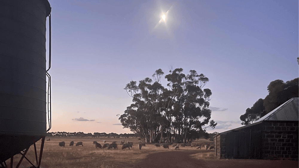 Farm at dusk