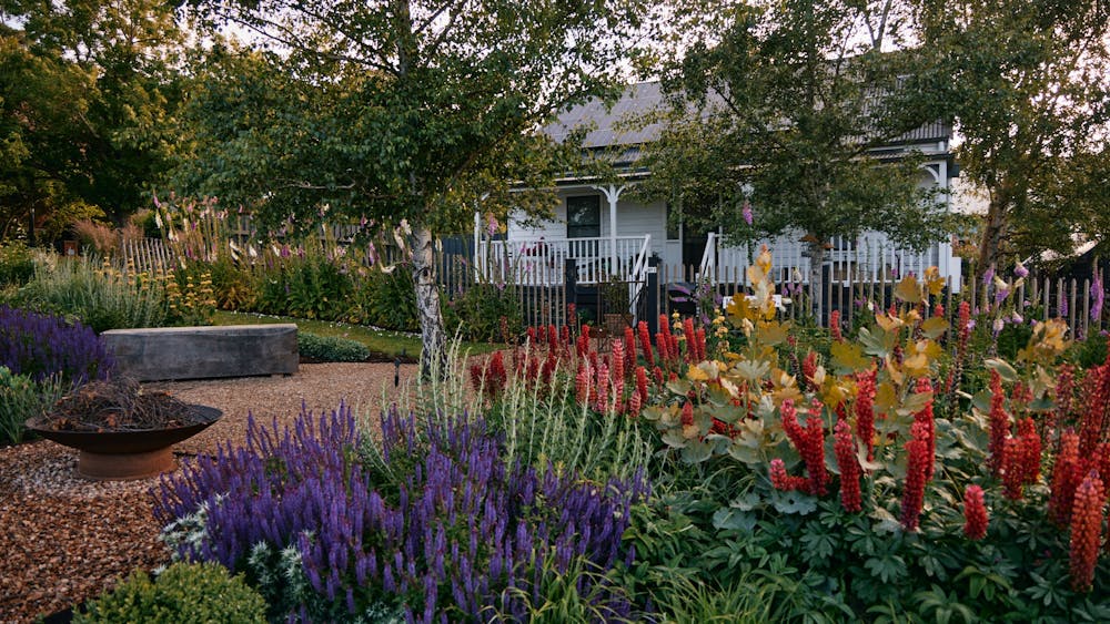Thumbnail for Garden Design with Natasha Morgan