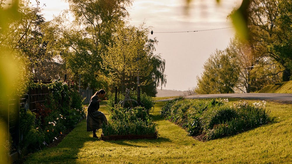 Natasha gardening in the northern verge garden
