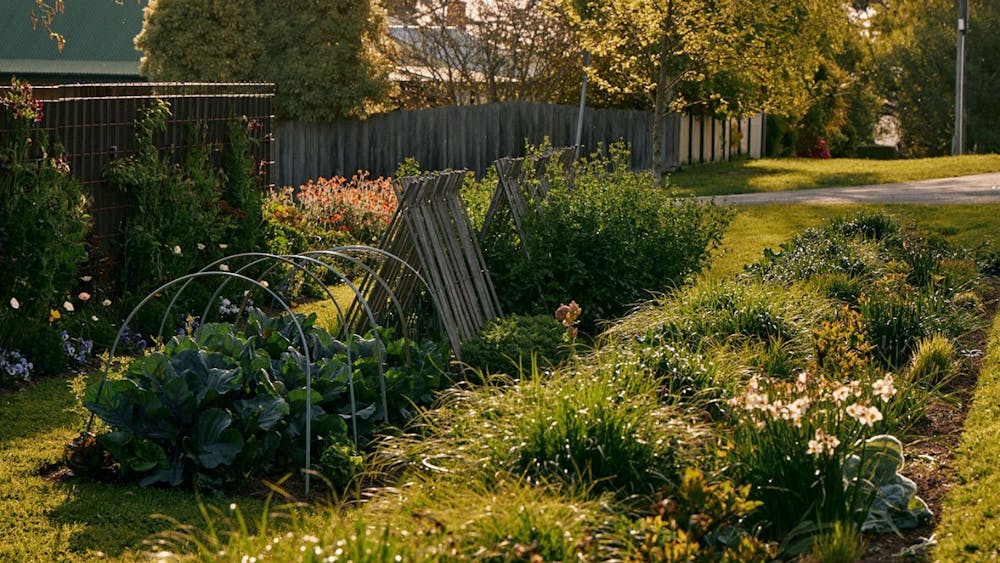 The northern verge garden