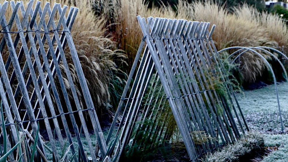 The northern verge on a frosty winter morning