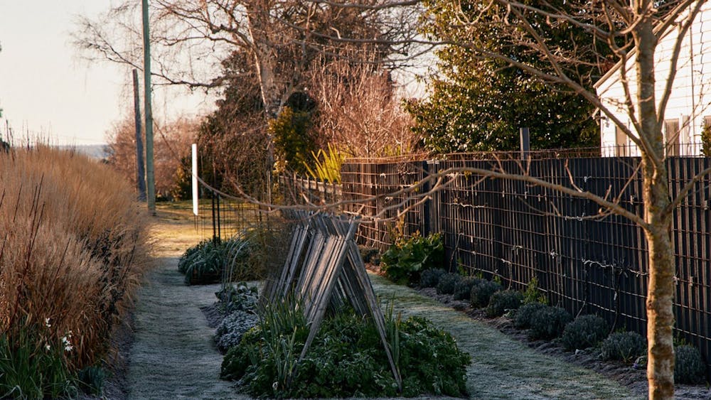 The northern verge on a frosty winter morning, wider angle