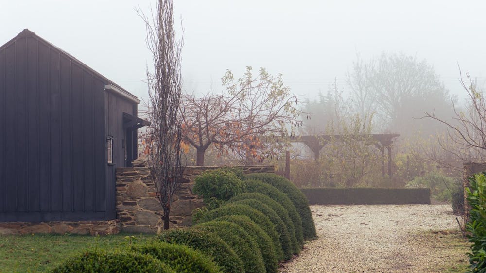 Stonewalls garden in Musk on a misty winter day