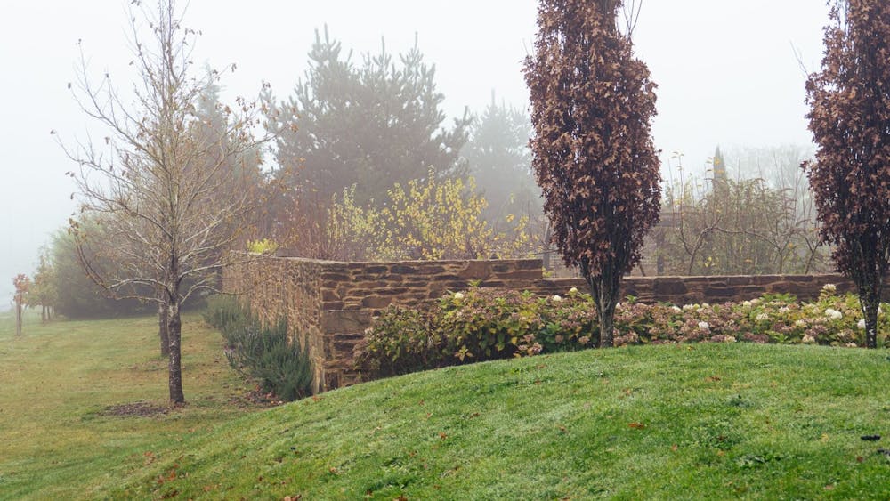 Stonewalls garden in Musk on a misty winter day