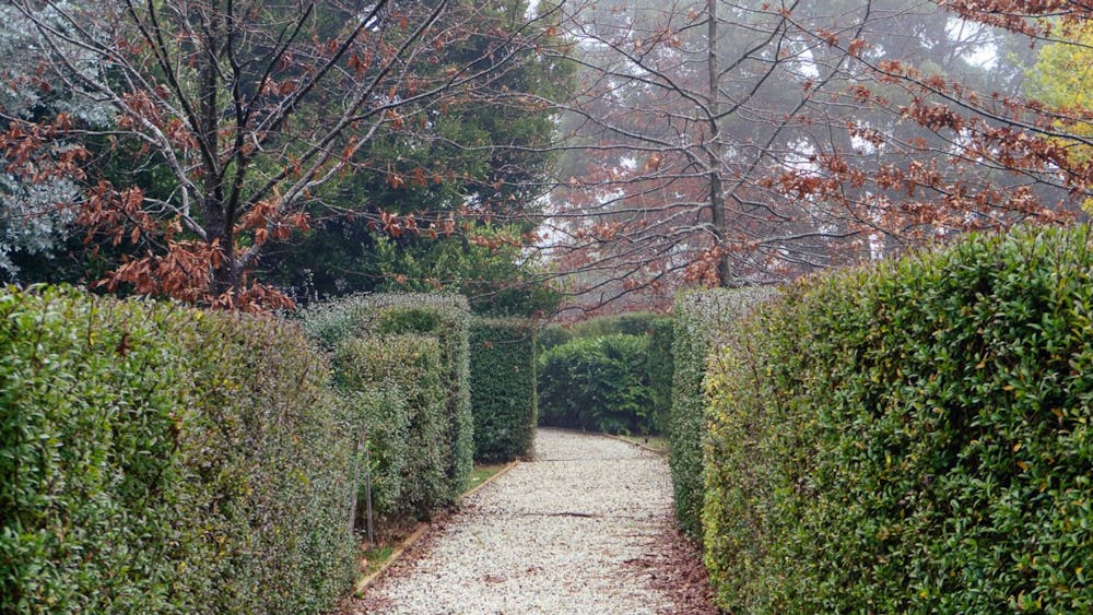 Stonewalls garden in Musk on a misty winter day