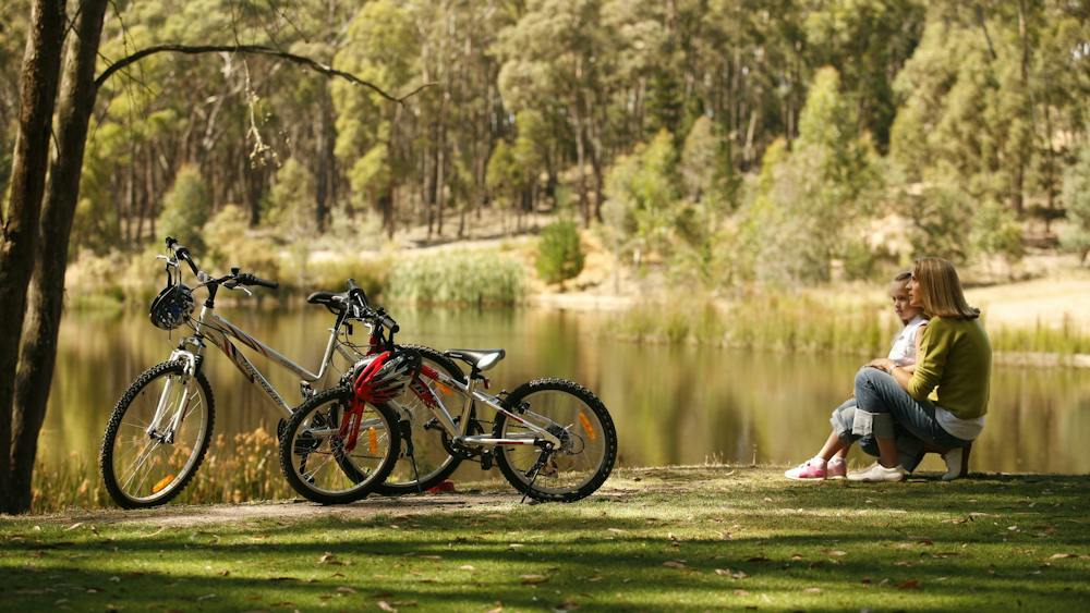 Thumbnail for Creswick Regional Park – Koala Park