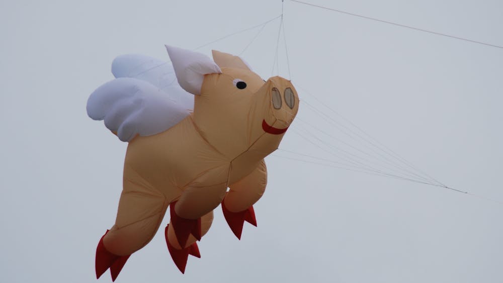 Dean Kite Festival