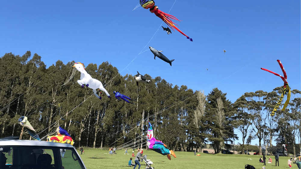 Spectacular professional kites