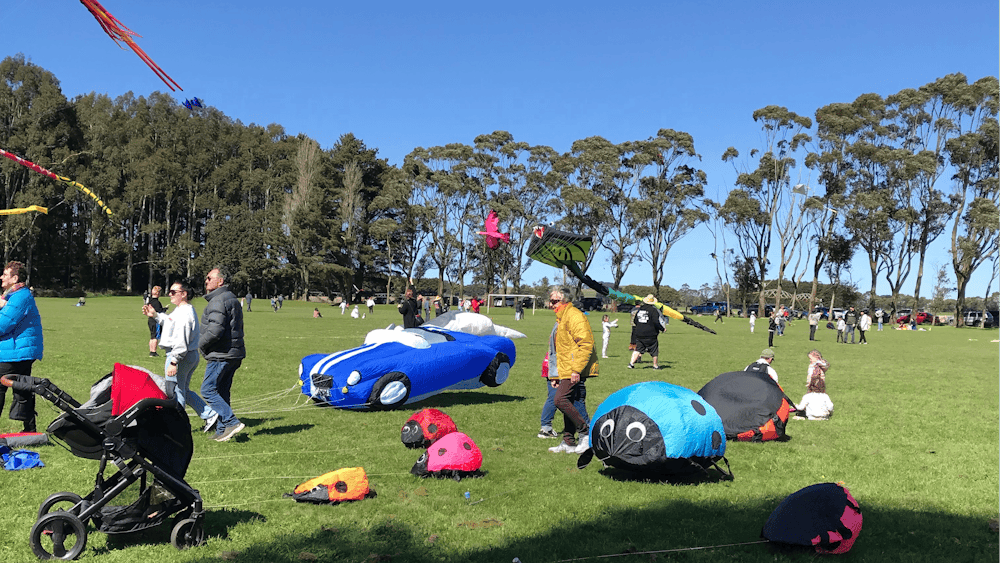 Cleverly shaped kites
