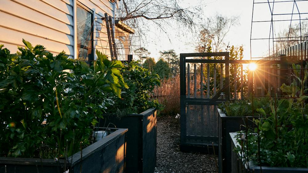 The productive wicking bed garden by Natasha Morgan at Little Cottage on a Hill