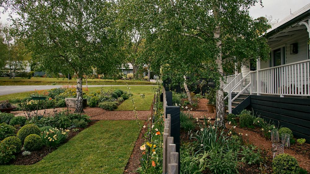 Natasha Morgan's verge garden