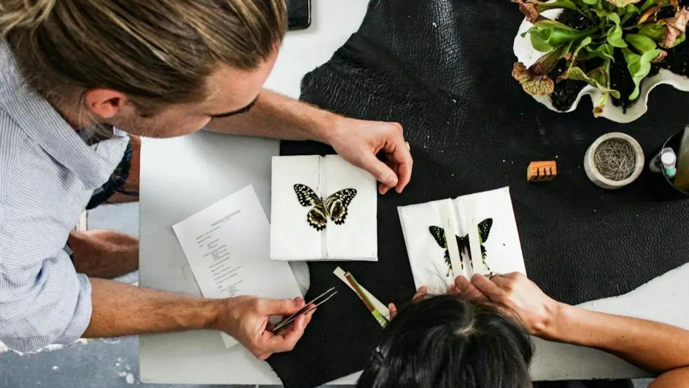 Thumbnail for Beginner Entomology Workshop