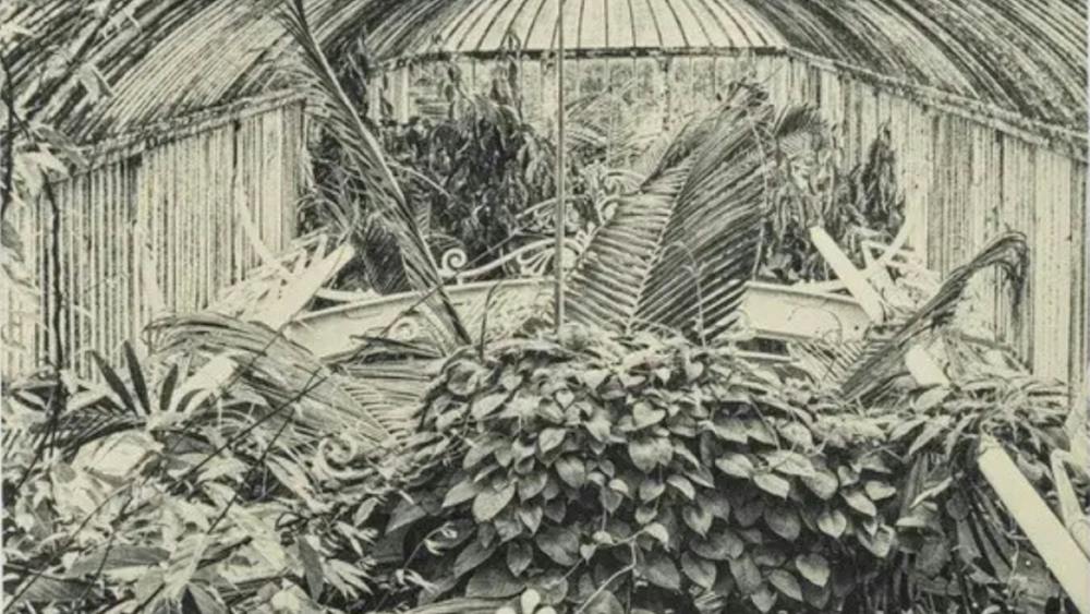 Thumbnail for Photogravure Printing Workshop