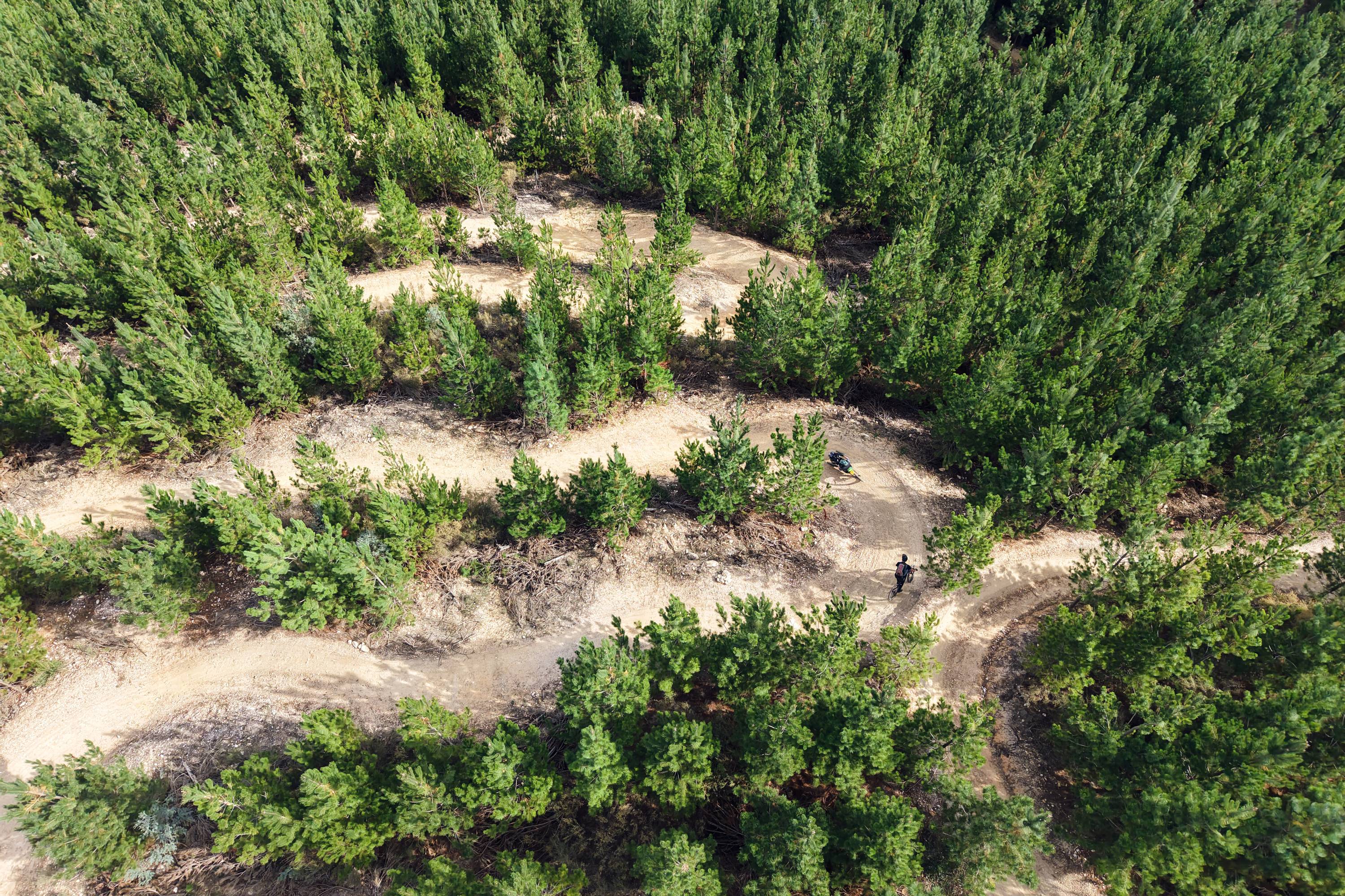 Thumbnail for Three trails in Ballarat that make adventure accessible for everyone