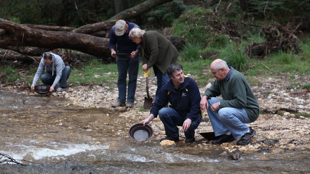 Thumbnail for Gold and Relics Gold Prospecting Adventure Tours