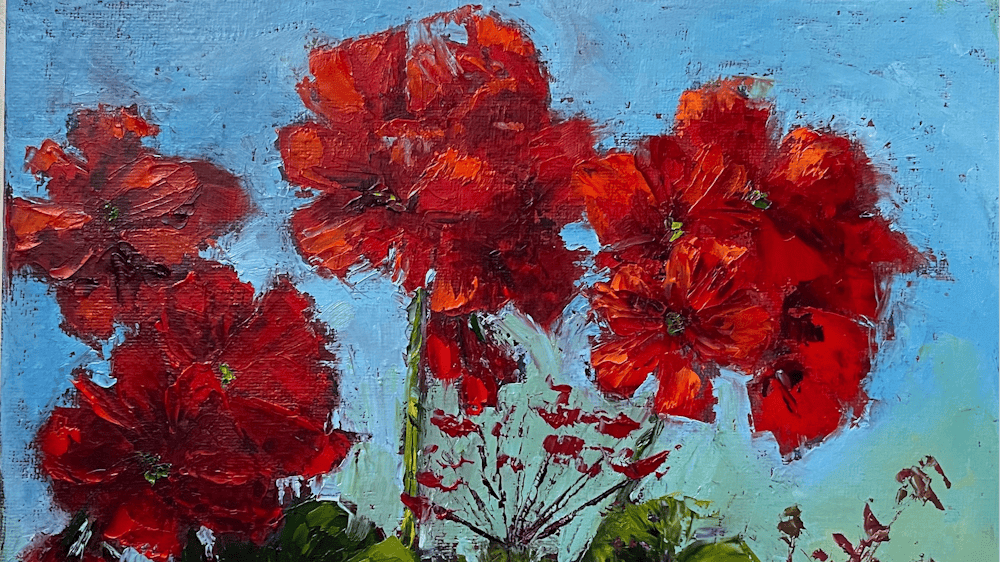 Crimson Geraniums with green leaves and a blue background