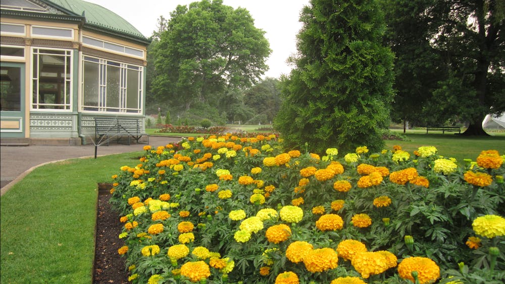 Botanical Gardens, BALLARAT - Goldfields