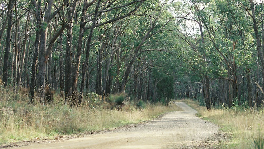 Road Woowookarung Regional Park, Ballarat