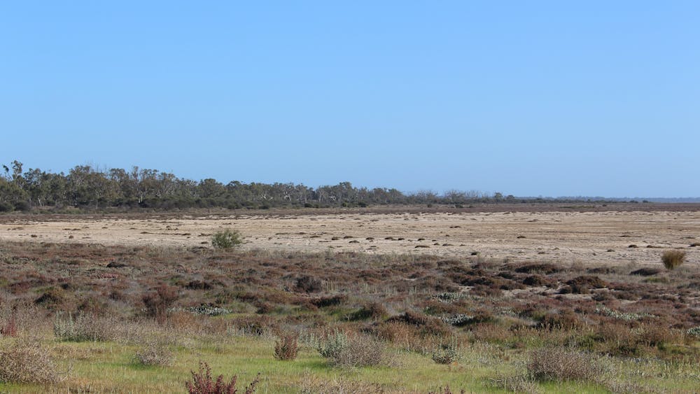 Dry lake bed Lake Hindmarsh