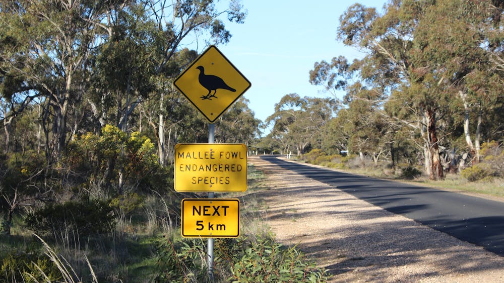 Mallee Fowl road sign Little Desert National Park