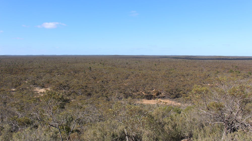 Eastern Lookout Wyperfeld National Park