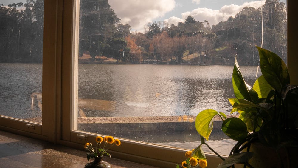 Lake view