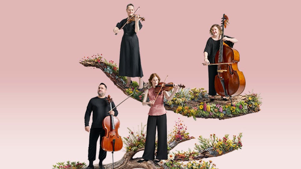 Thumbnail for A Feast of Music: Melbourne Chamber Orchestra (MCO)