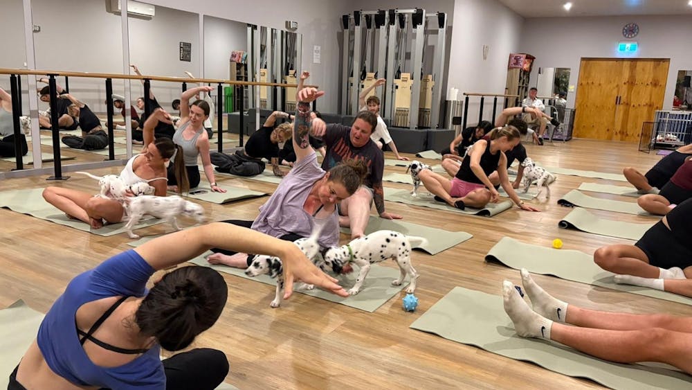 Thumbnail for Ballarat Puppy Yoga Class