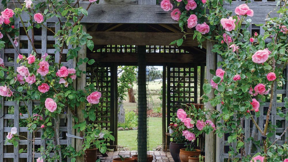 Thumbnail for Creswick Garden Lovers Weekend