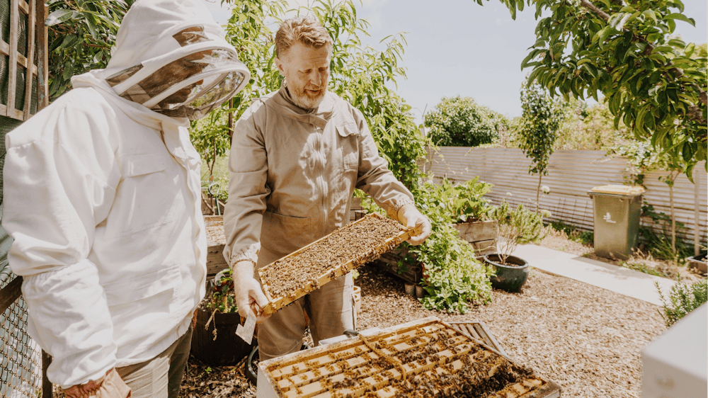 Thumbnail for Introduction to Beekeeping Course